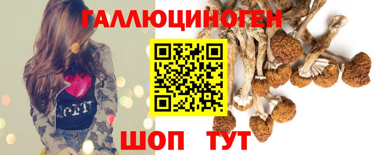 Галлюциногенные грибы Psilocybe  дарнет шоп  Дубна  Вход с VPN 