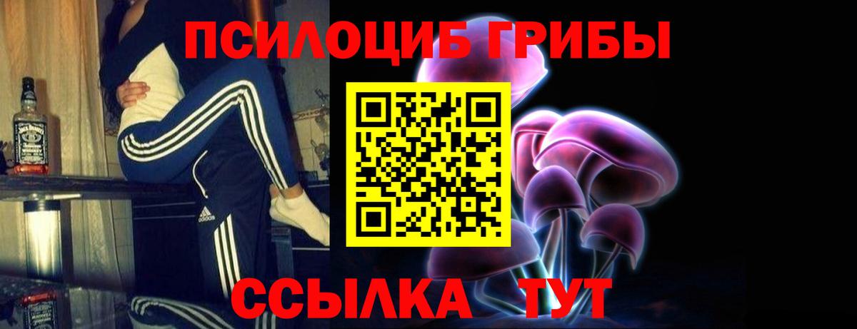 Галлюциногенные грибы мухоморы Дубна